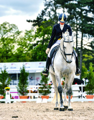 dressage horse and woman rider