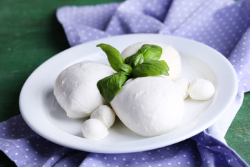 Tasty mozzarella cheese with basil