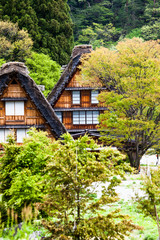 Fototapeta na wymiar Traditional,Historical Japanese village Ogimachi,Shirakawa-go