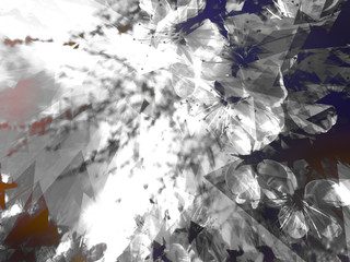 Shuttered Background