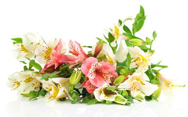 Beautiful bouquet of freesias isolated on white