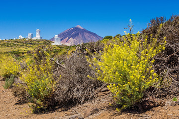 Der Vulkan Teide auf Teneriffa.