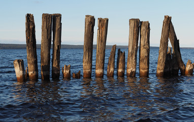 old piles in the lake
