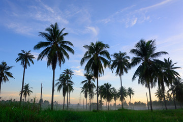 Obraz na płótnie Canvas Beautiful sunset at a tropical in thailand