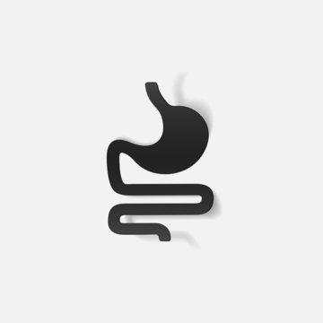 realistic design element: stomach, medical
