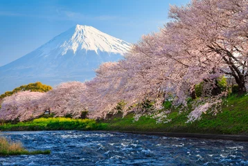 Fotobehang Fuji en Sakura © jiratto