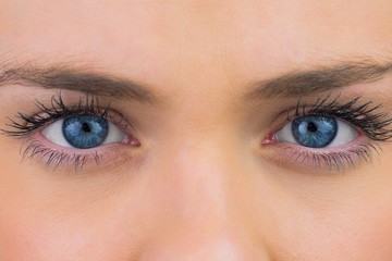 Close up of female blue eyes - obrazy, fototapety, plakaty