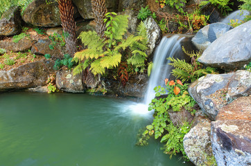 Fototapeta na wymiar Waterfall and lagoon at Mt Tomah NSW Australia