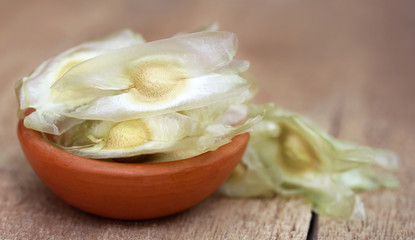 Seeds of moringa oleifera