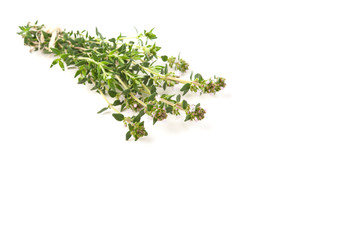 Küchenkräuter - Thymian