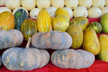 Khai Phalo among musk melon, ostrich egg and potatoes