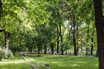 Naklejka premium parc Planty w Krakowie