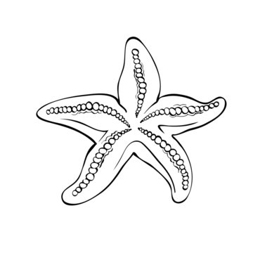 Starfish isolated on white.Drawing style black and white.