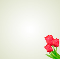 Light green background with bunch of pink tulips