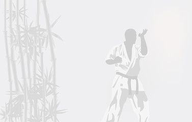 Fototapeta na wymiar The illustration, the person in a kimono is engaged in karate