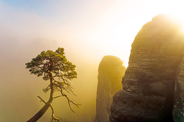 Morgensonne bei Nebel im Gebirge