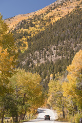 Fototapeta na wymiar independence pass in fall colorado foliage