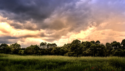 landscape nature horizontal