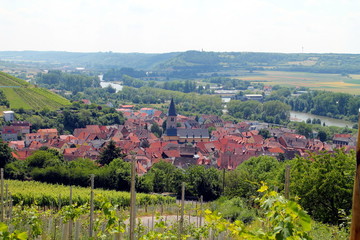 Obraz premium Fränkischer Weinort Randersacker