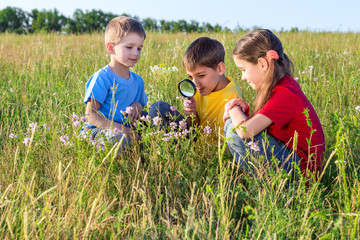 Three kids looking to flower with a magnifyer