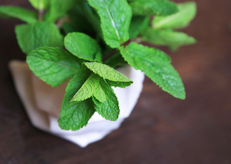 Mint on  color wooden background