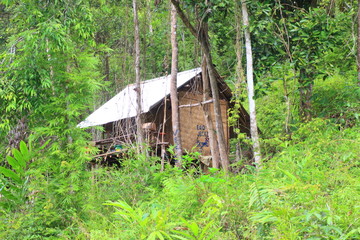 Fototapeta na wymiar Small log cabin in Palawan Island, Philippines