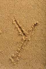 Alphabet letter written on wet beach sand