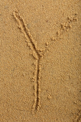 Alphabet letter written on wet beach sand
