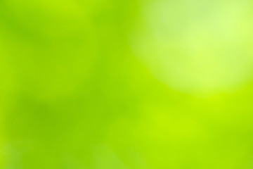 green bokeh background
