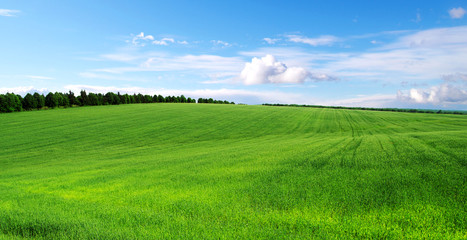 green field