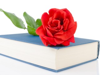 red rose on the closed book with space for text