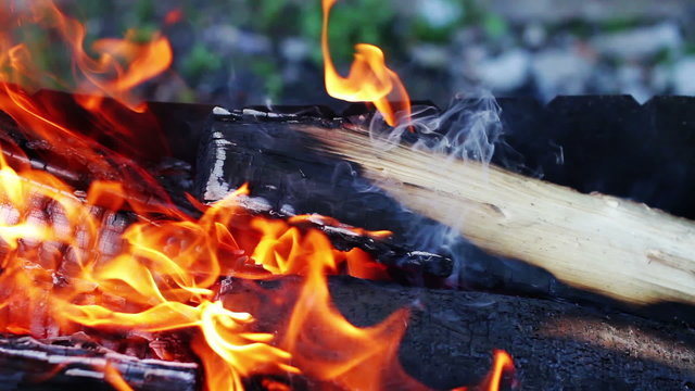 Beautiful fire