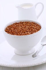 Delicious crisped rice chocolate cereal