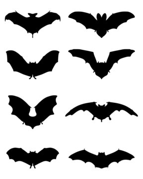 Black silhouettes of bats, vector illustration