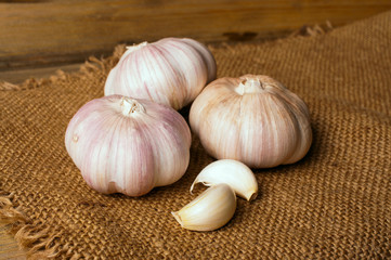 old garlic on sacking