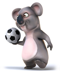 Naklejka premium Koala