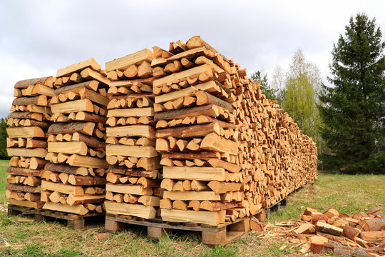 Chopped and Stacked Firewood on a Field