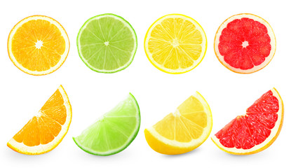Fototapeta na wymiar citrus fruits
