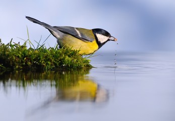 Water reflections.