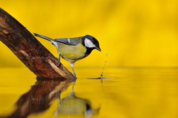Water reflections.
