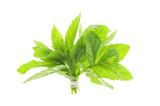 Bouquet de menthe