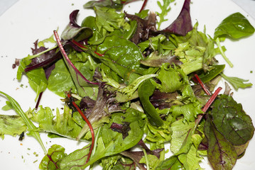 Green Salad on Plate With Condiment