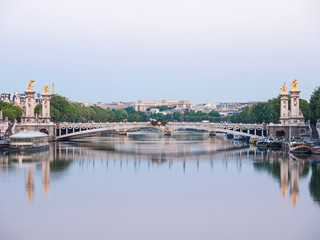 Fototapeta na wymiar Pont Alexandre III