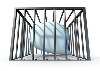 Censorship Of Speech Caged