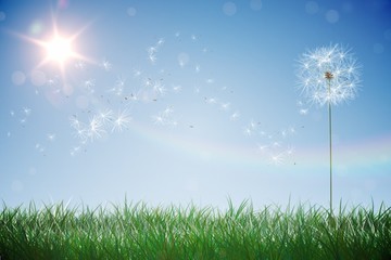 Obraz premium Digitally generated dandelions against blue sky