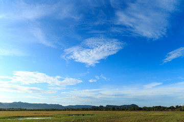 blue sky