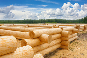 building a house from wooden logs