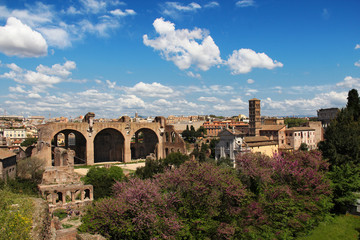 Obraz premium view of Roman Forum, from the Palatine Hill, Rome