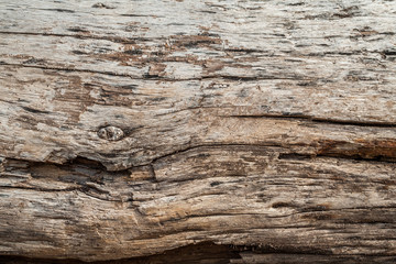 Wood texture background