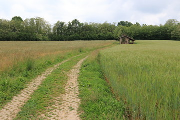 Naklejka premium Parco del Lura - Guanzate